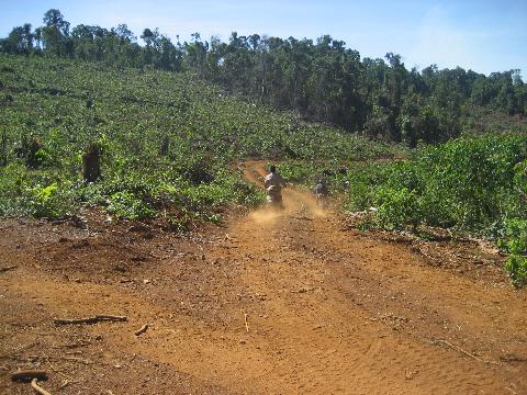 Con đường dẫn vào đất rừng trồng cao su ở huyện Đạ Huoai (Ảnh: Nông nghiệp Việt Nam) 