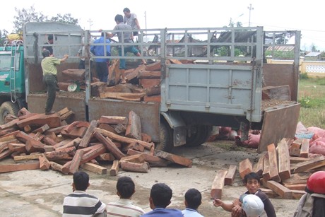 Một vụ vận chuyển gỗ trái phép bị bắt giữ tại Phú Yên