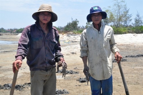 Lợi nhuận cao, khiến nhiều hộ dân ở các tỉnh đổ về TT- Huế khai thác giun biển (Ảnh: Nông nghiệp Việt Nam)