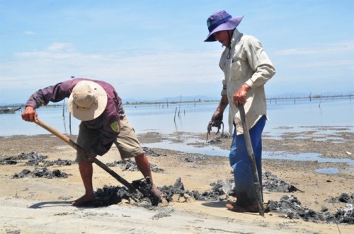 Đào giun biển, để lại hố trên bãi bồi, ảnh hưởng đến nuôi trồng thủy sản (Ảnh: nongnghiep.vn)