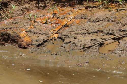 Nước thải có màu nâu đục, bị nghi ngờ là chưa qua bất kì công đoạn xử lý nào, được xả trực tiếp ra sông Sài Gòn. (Ảnh: Đậu Tất Thành/TTXVN)