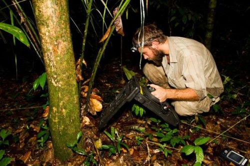 Một trong các nhà nghiên cứu, Ian Warrington, đang kiểm tra nơi ngủ của một trong những chú ếch được thử nghiệm bằng dụng cụ định hướng hòa âm. (Ảnh: Dự án Femoralis)