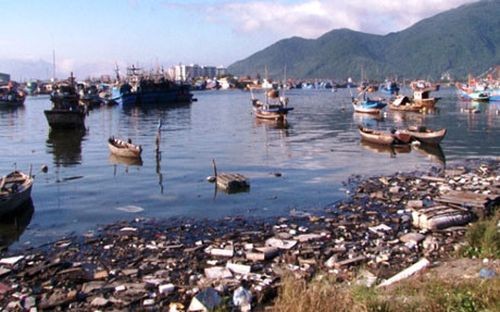Mỗi ngày gần chục lượt công nhân Công ty môi trường đô thị thu gom nhưng vẫn không xử lý hết lượng rác thải tồn đọng tại âu thuyền Thọ Quang.