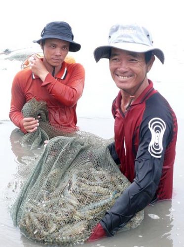 Tại những vùng nhiễm mặn ven biển, người dân chuyển sang nuôi tôm đạt hiệu quả kinh tế cao (Ảnh: Duy Nhân/nld.com.vn)