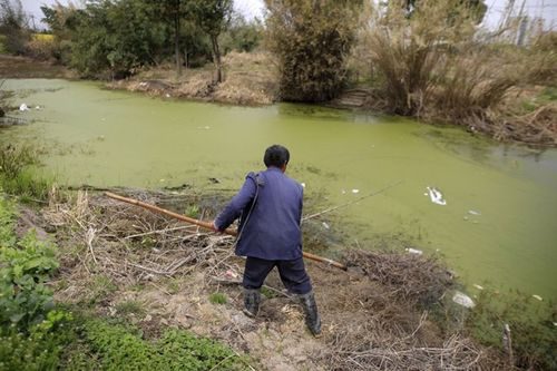 Một con sông bị ô nhiễm ở Thượng Hải (Nguồn: Reuters)