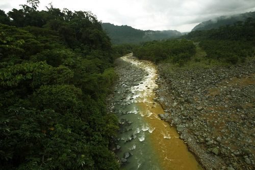 Một nhánh sông trong công viên quốc gia Braullio Carrillo (Costa Rica) bị nhuộm màu vàng nâu do chất độc từ mỏ khai khoáng. (Nguồn: Techinsider)