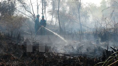 Lực lượng chức năng khẩn trương phun nước dập đám cháy rừng trong Vườn quốc gia U Minh Hạ (Ảnh: Huỳnh Thế Anh/TTXVN)