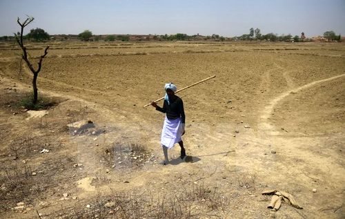 Những cánh đồng bị bỏ hoang do thiếu nước và thời tiết nắng nóng kéo dài tại khu vực Shankargarh, Ấn Độ (Nguồn: AFP/TTXVN)