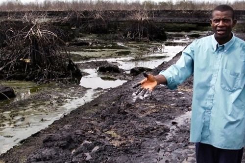 Đất đai ở Boro bị nhiễm dầu nặng tới mức không thể trồng trọt (Ảnh: reporters365.com)