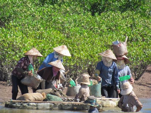 Phụ nữ tại các xã vùng đệm khai thác thủy sản thủ công tại VQG Xuân Thủy