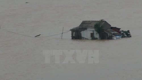 1 / 5 Một nhà dân tại xã Quảng Hải, thị xã Ba Đồn bị nước lũ bao vây. Ảnh chụp lúc 7 giờ sáng 1/11/2016. (Ảnh: Đức Thọ/TTXVN)