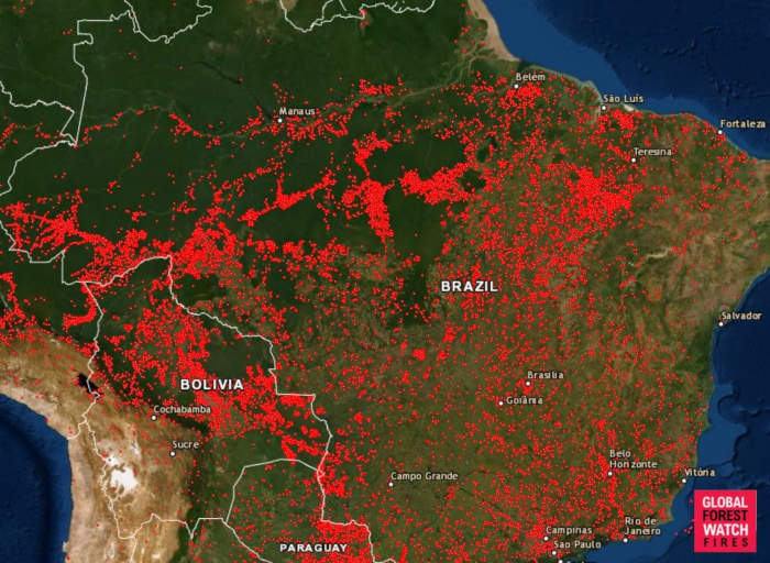 Cháy rừng Amazon đã được kiểm soát và được phục hồi thành công nhờ sự đóng góp của nhiều quốc gia trên thế giới. Hãy xem hình ảnh về quá trình phục hồi khu rừng này để cảm nhận sự kết nối và bảo vệ môi trường toàn cầu.