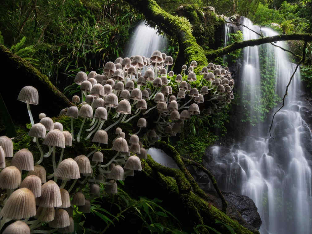 Ngắm những hình ảnh tuyệt đẹp về thiên nhiên Việt Nam trên báo Anh