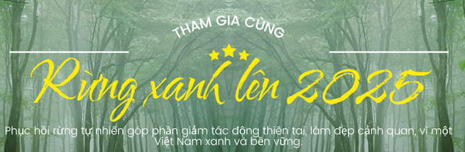 Rừng Xanh Lên